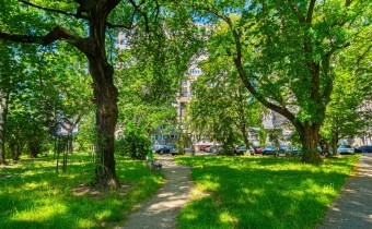 Szczepin |Pełny rozkład | 2 piętro