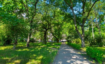 Szczepin |Pełny rozkład | 2 piętro