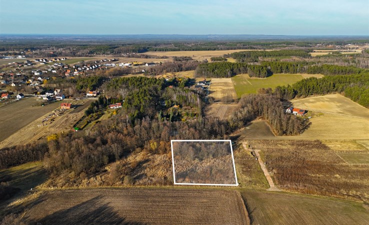 działka na sprzedaż - Zawonia, Cielętniki