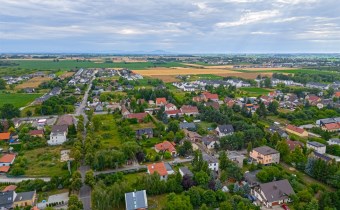 Lokal Siechnice 10